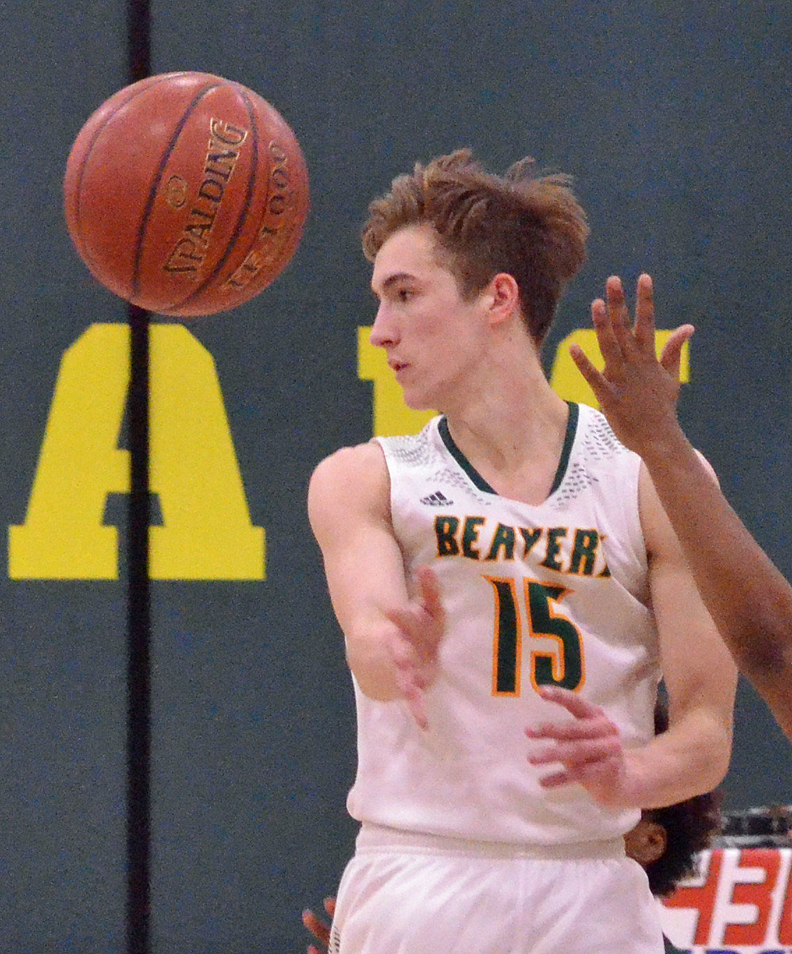 Dillon Livingston (copy)